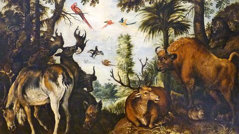 Roeland Savery - Paysage de forêt avec animaux Roeland Savery - Paysage de forêt avec animaux