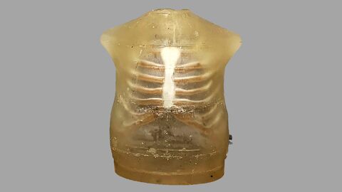 SURrogate of finite element hUman Body model SURrogate of finite element hUman Body model