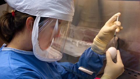 Chercheuse en équipement de sécurité réalisant une manipulation expérimentale sur un œuf en laboratoire